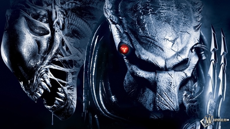 Predator-vs-alien-3.jpeg